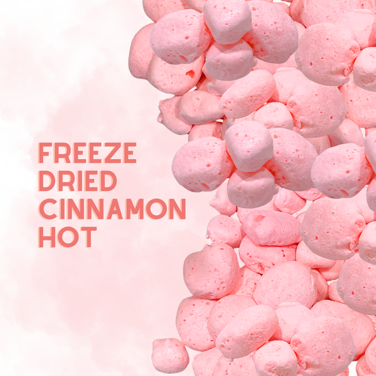Freeze-Dried Cinnamon Hot Salt Water Taffy 2 oz