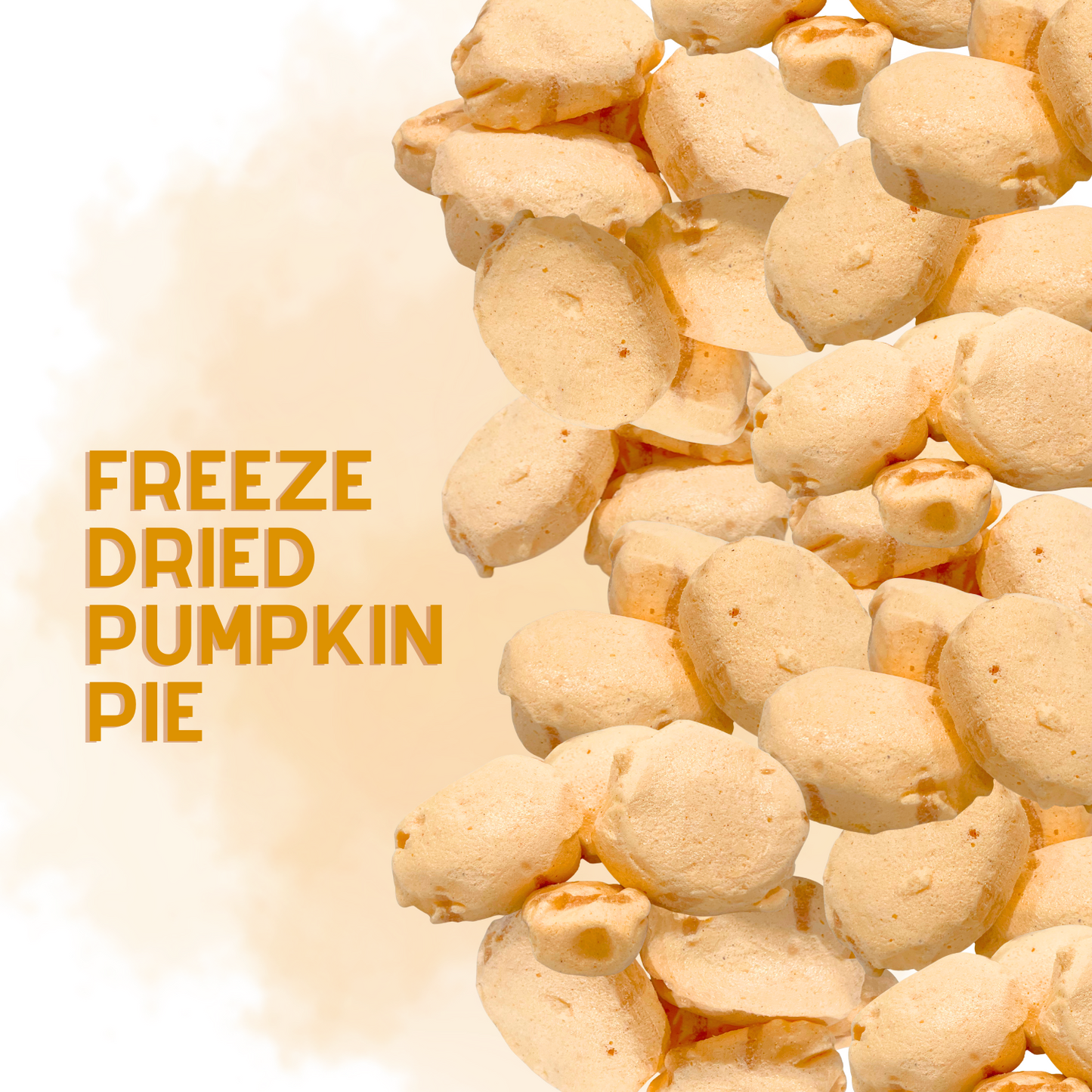 Freeze-Dried Pumpkin Pie Salt Water Taffy 2 oz