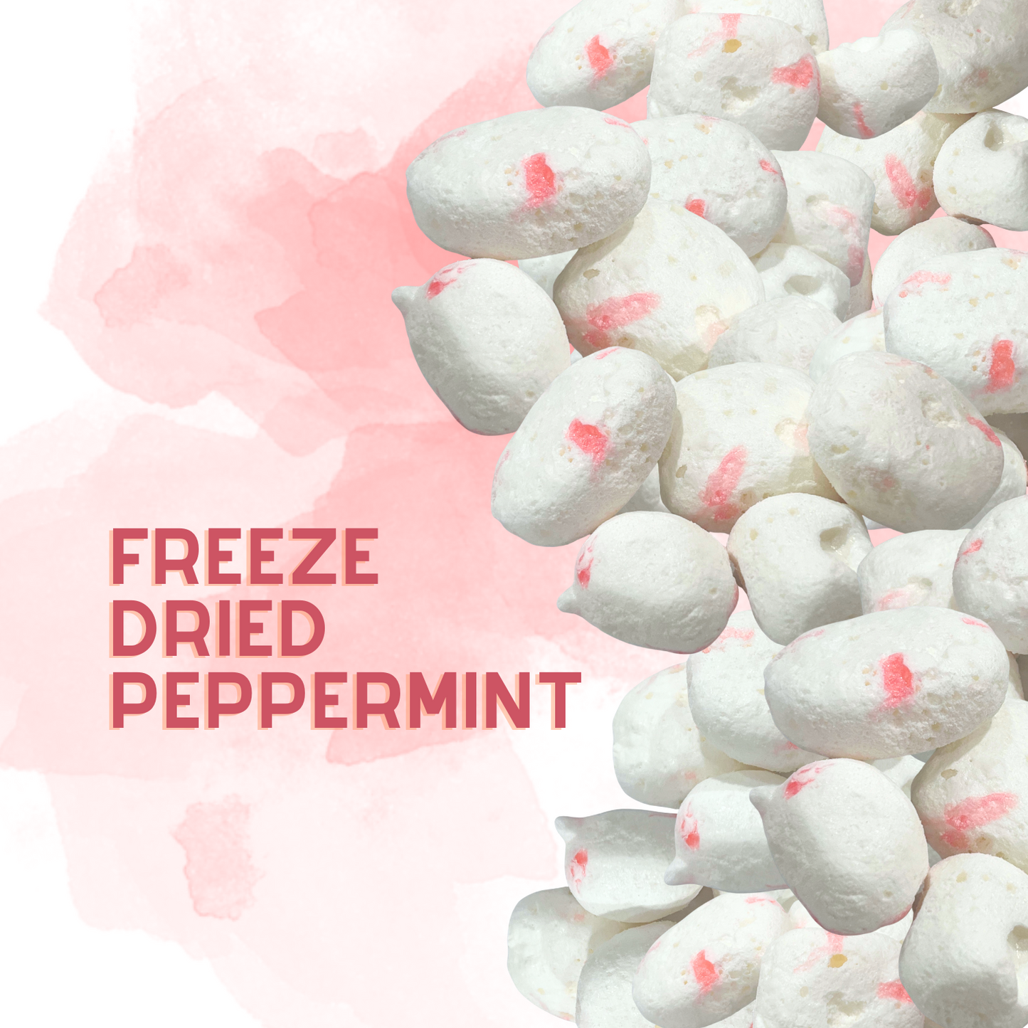Freeze-Dried Peppermint Salt Water Taffy 2 oz
