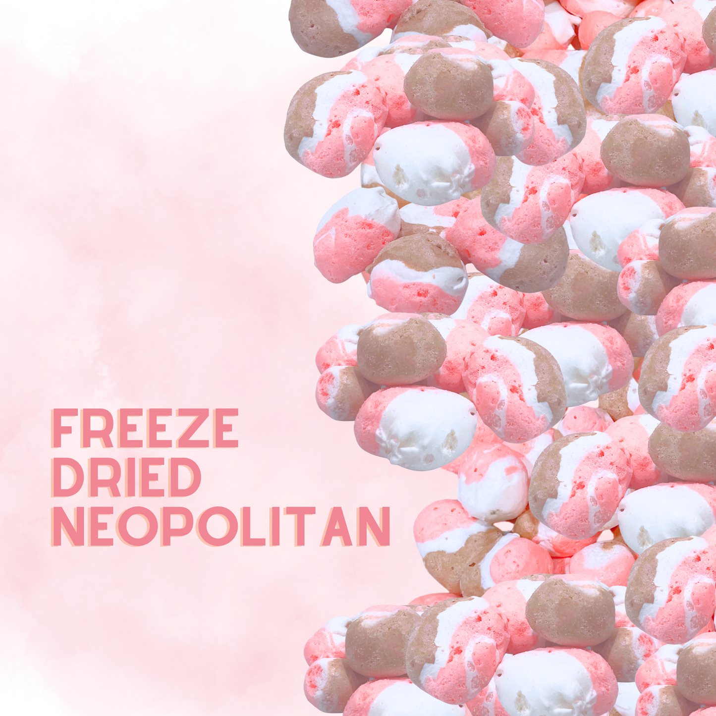 Freeze-Dried Neapolitan Salt Water Taffy 2 oz