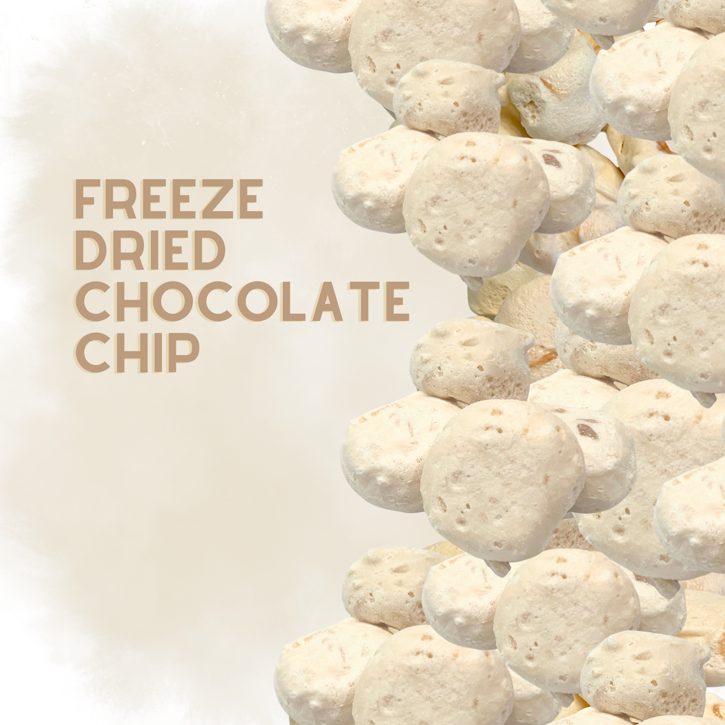 Freeze-Dried Chocolate Chip Salt Water Taffy 2 oz