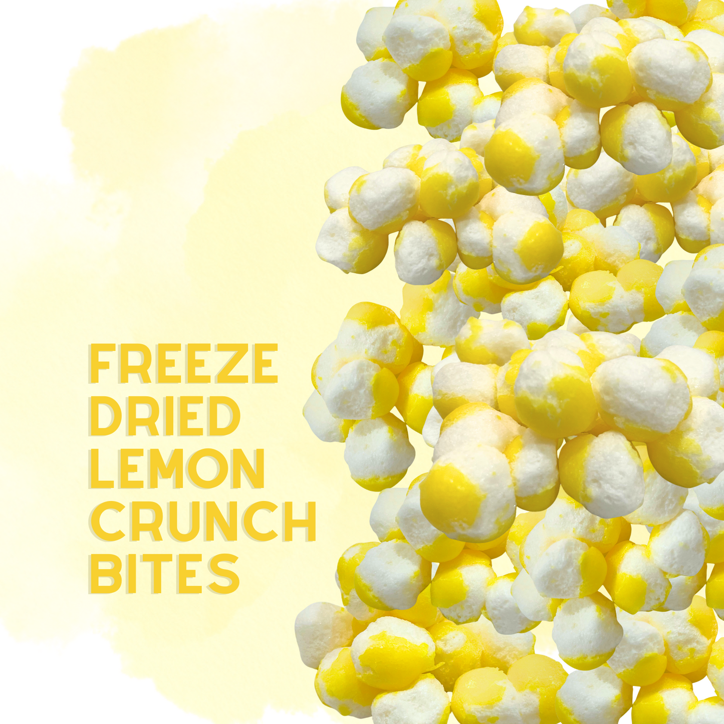 Freeze Dried Candy Lemonheads Mini 1 LB