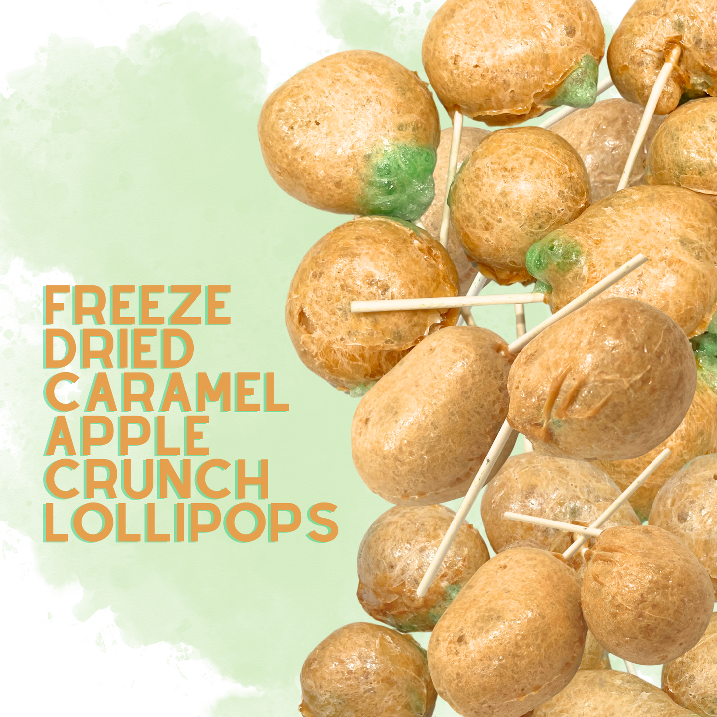 Freeze Dried Caramel Apple Lollipop Suckers 4.5 oz