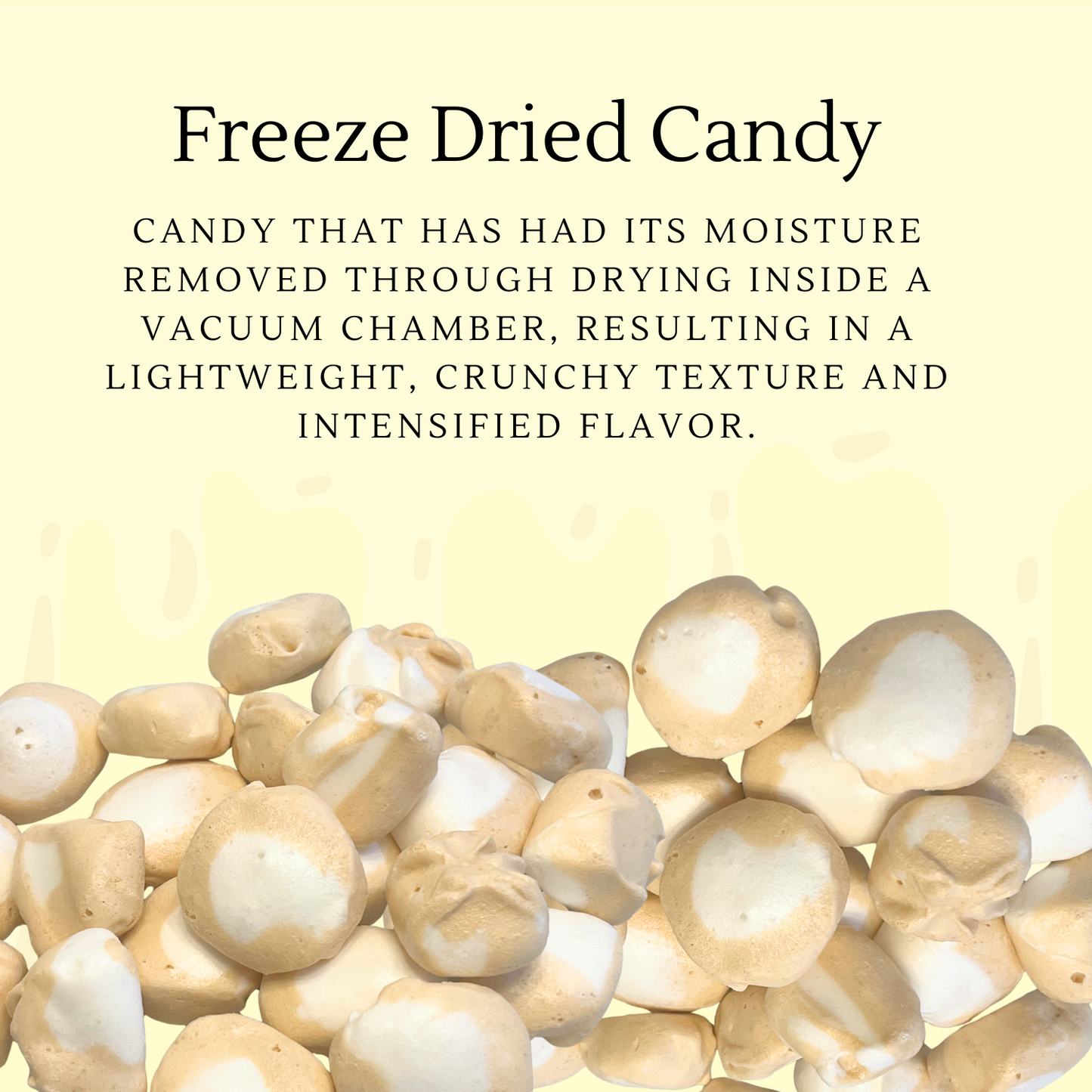 Freeze Dried Candy Lemonheads Mini 1 LB
