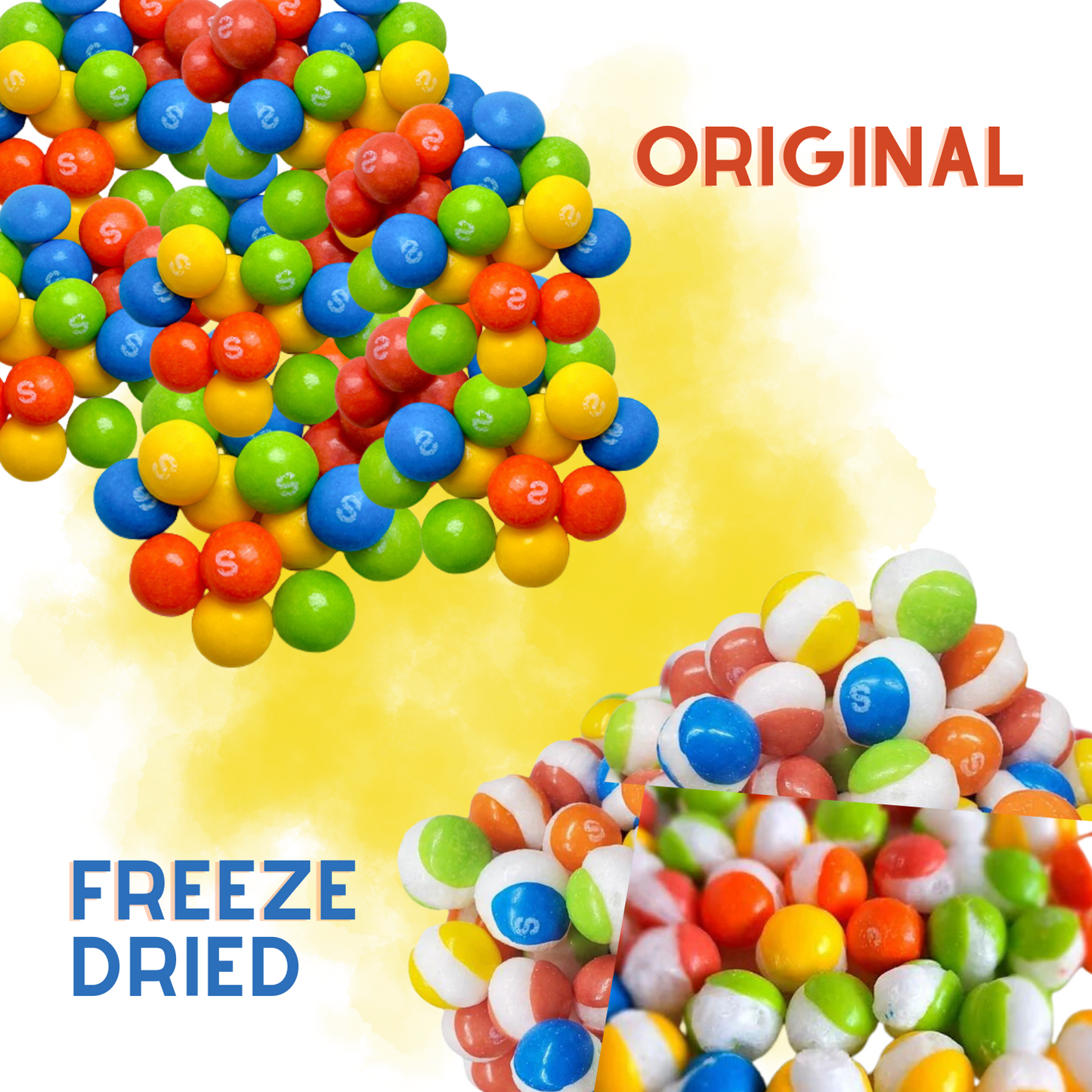 Freeze Dried Candy Tropical Rainbow Candy 1LB