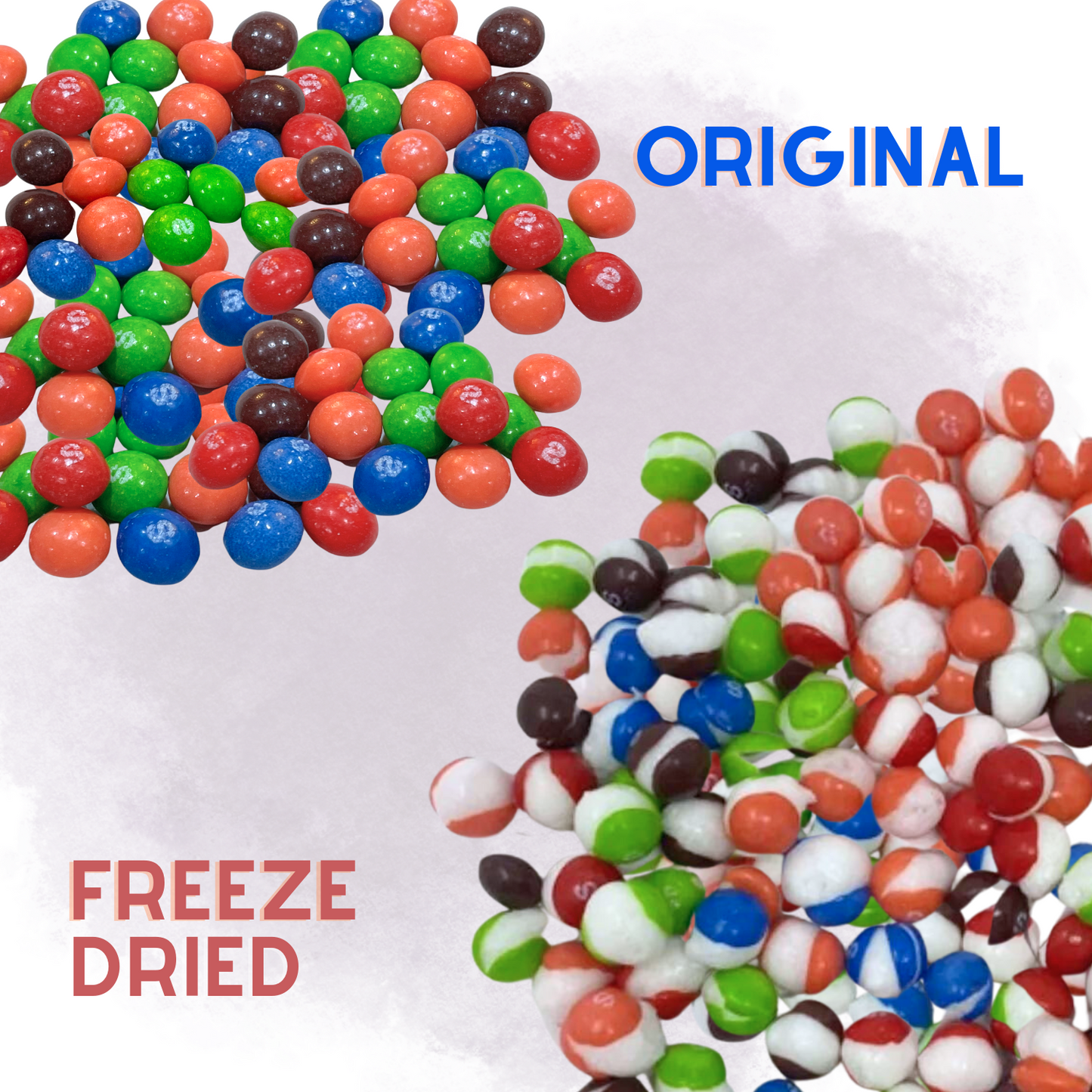Freeze Dried Candy Wild Berry Rainbow Candy Bulk Party Size 6.5 LB