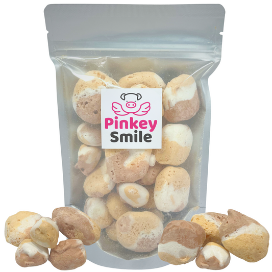 Freeze-Dried S'mores Salt Water Taffy 2 oz