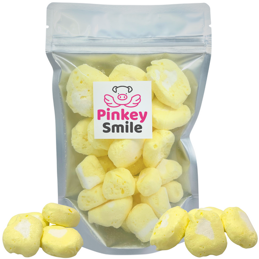 Freeze-Dried Lemon Cream Salt Water Taffy 2 oz