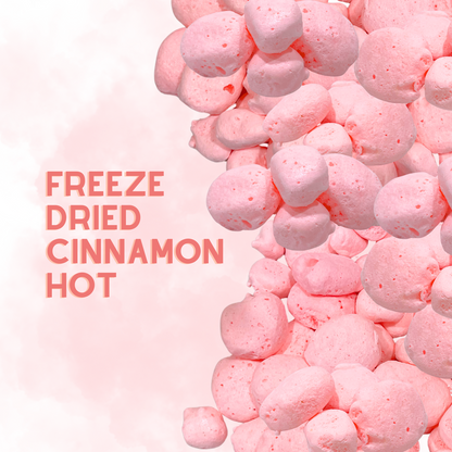 Freeze-Dried Cinnamon Hot Salt Water Taffy 2 oz