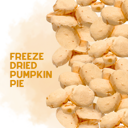 Freeze-Dried Pumpkin Pie Salt Water Taffy 2 oz