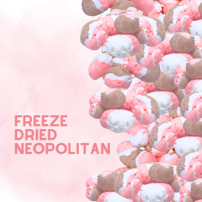 Freeze-Dried Neapolitan Salt Water Taffy 2 oz