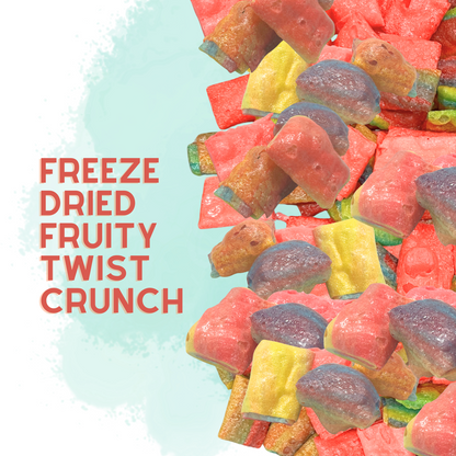 Freeze Dried Fruit Roll Up 3.5oz