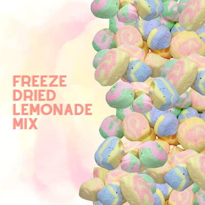 Freeze-Dried Lemonade Mix Salt Water Taffy 2 oz