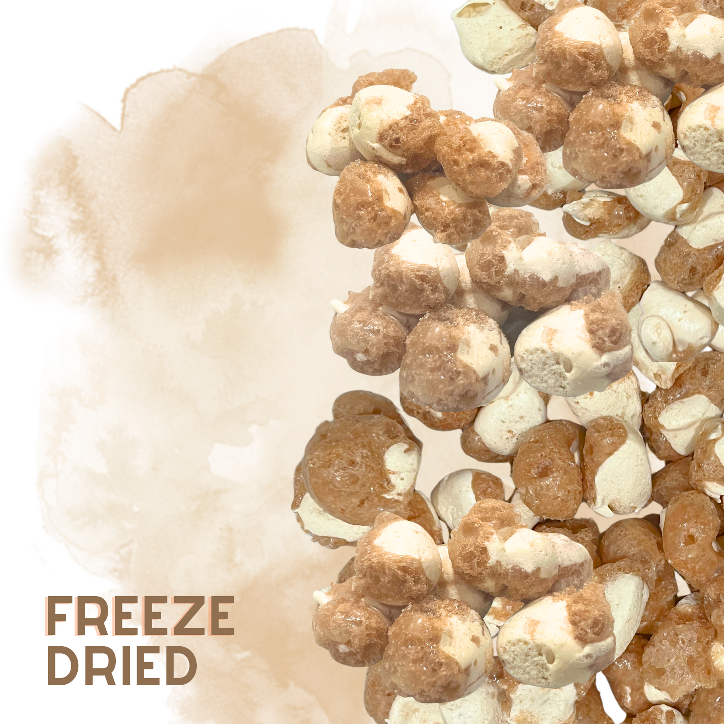 Freeze-Dried Mocha Caramel Swirl Salt Water Taffy 2 oz
