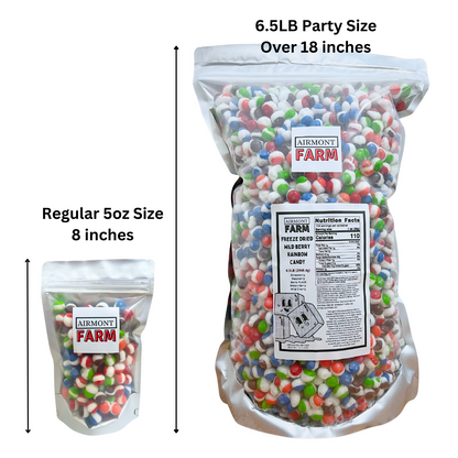 Freeze Dried Candy Wild Berry Rainbow Candy Bulk Party Size 6.5 LB