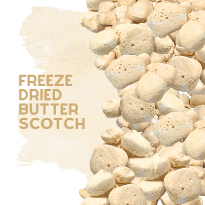 Freeze-Dried Butterscotch Salt Water Taffy 2 oz