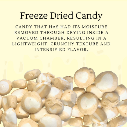 Freeze Dried Candy Lemonheads Mini 1 LB