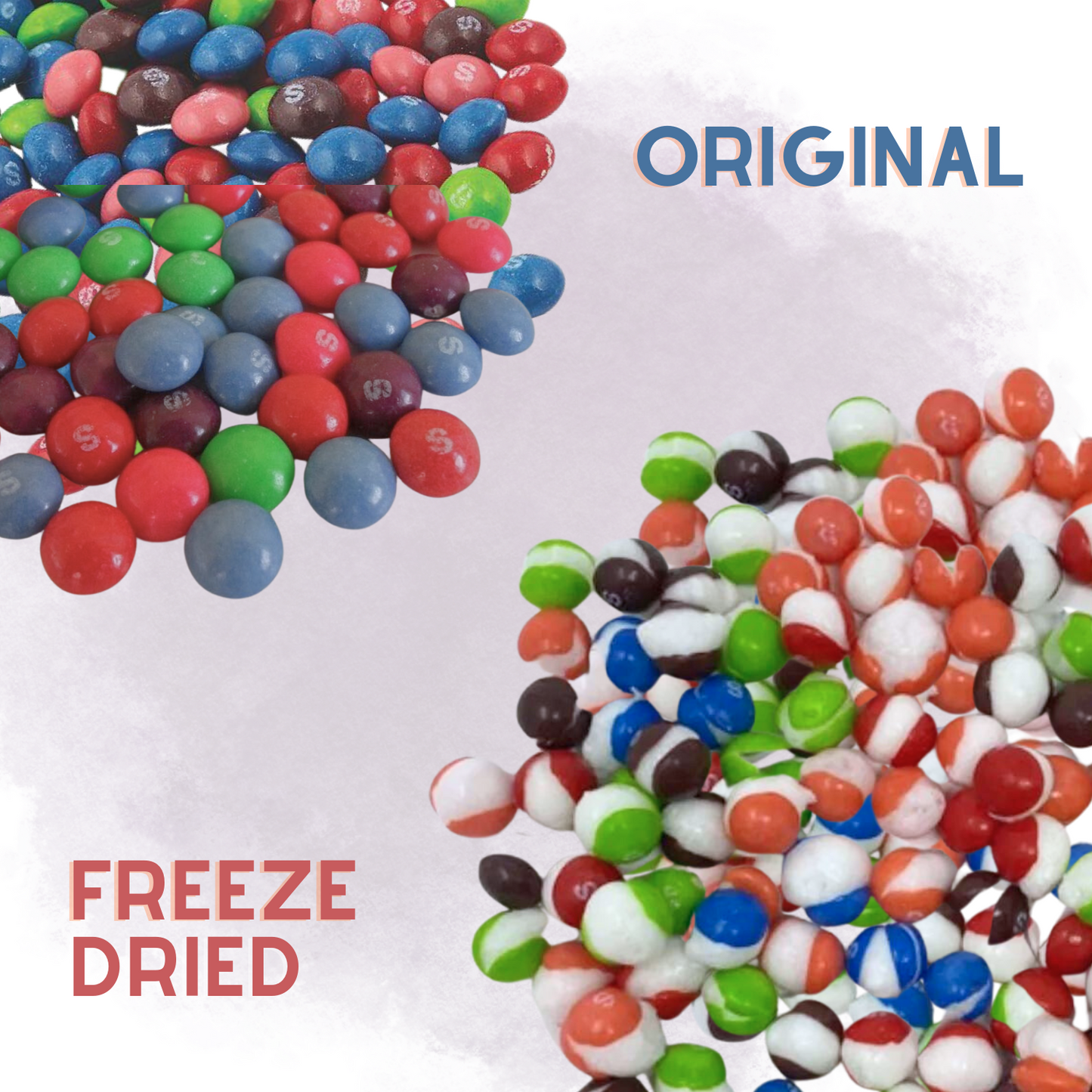 Freeze Dried Candy Wild Berry Rainbow Candy 1 LB