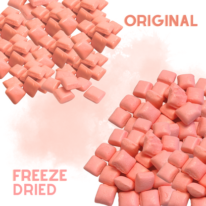 Freeze Dried Candy Fruit Burst Mini Candy 4 pack - Orignial, Sour, FavREDS, All Pinks